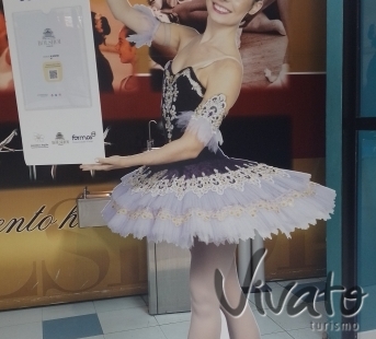 Tour Guiado Teatro Bolshoi no Brasil em Joinville  Visita Cultural Exclusiva