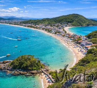 CARRO Bombas Bombinhas + Mariscal